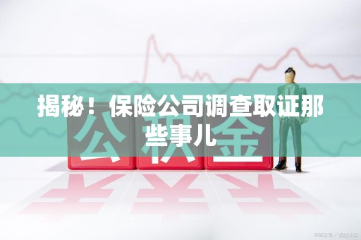 宣州揭秘！保险公司调查取证那些事儿