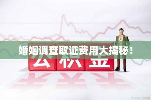 宣州婚姻调查取证费用大揭秘！