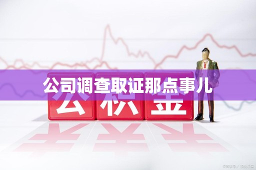 宣州公司调查取证那点事儿
