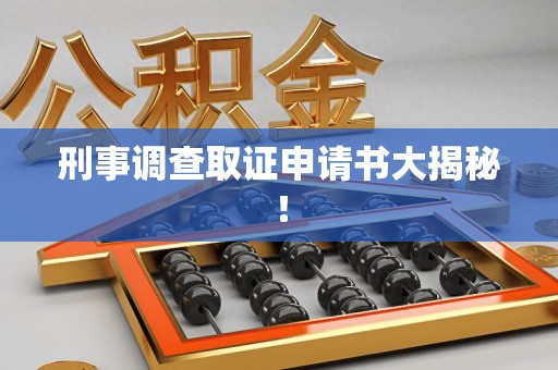 宣州刑事调查取证申请书大揭秘！