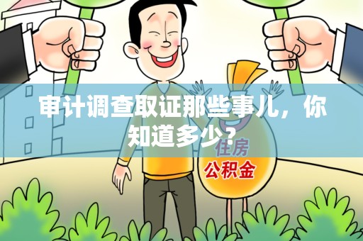 宣州审计调查取证那些事儿，你知道多少？