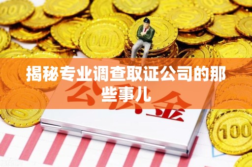 宣州揭秘专业调查取证公司的那些事儿